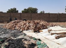 Des milliers de poulets atteints de la grippe aviaire ont dû être brûlés. Photo : Faïshal Ouédraogo