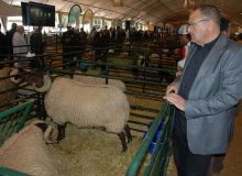 Abderrahmane Mejdoubi, président de l’Anoc, devant un beau specimen lors du Siam, le Salon marocain de l’agriculture. Photo archive : Antoine Hervé