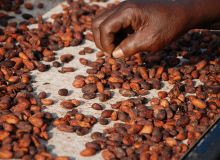 Les fèves transformées localement sont difficiles à valoriser. Le chocolat est jugé trop cher pour les bourses locales et pas assez sûr pour les touristes ou les plus fortunés. Photo : Antoine Hervé