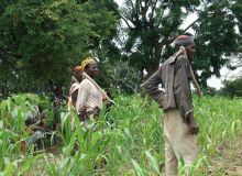 Des paysans dans le Centre-Ouest du Burkina Faso. Photos : Faïshal Ouédraogo