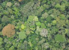 Vue aérienne de la forêt tropicale de la République démocratique du Congo. Photo : ATIBT