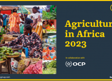 Oxford Business Group dévoile la quatrième édition du Focus Report intitulé « Agriculture in Africa 2023 ». Photo : OBG