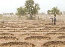 La technique de la demi-lune permet de conserver l’eau de pluie pour les cultures. Photo : FAO