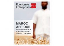 Maroc Afrique, les fondamentaux d’un partenariat agricole gagnant