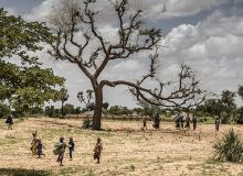 En premières lignes du changement climatique, les terres africaines doivent être particulièrement protégées. Photo : Luis Tato / FAO