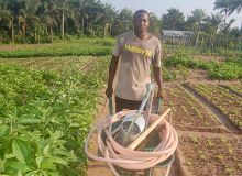 L’agriculture extensive africaine, comme ici au Bénin, pollue moins que sa consœur intensive des pays occidentaux. Photo : Guy Christian Roko