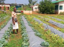 Les zones rurales sont transformées en pôles de développement économiques, comme ici à Kétou. Photo : G. C. Roko