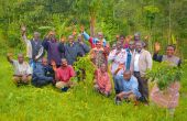 La renaissance du café congolais