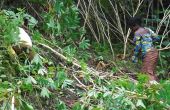 Une jeune récolte du manioc au sud de Lubero. Photo : Umbo Salama