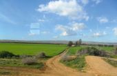 Périmètre agricole dans l’Oranais, au nord de l’Algérie. Photos : M. Naïli