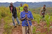 « La récolte annuelle de maïs par ménage dans la province de Namibe en Angola pourrait diminuer de 77 % d’ici 2050 », explique le Fida.