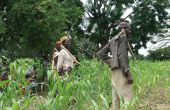 Des paysans dans le Centre-Ouest du Burkina Faso. Photos : Faïshal Ouédraogo