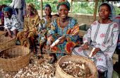 En Afrique subsaharienne, les femmes sont moins de 15 % à disposer de titres fonciers, estime la FAO, comme ici au Nigeria. Photo : Daouda Aliyou