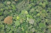 Vue aérienne de la forêt tropicale de la République démocratique du Congo. Photo : ATIBT