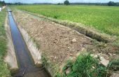 Canaux d’irrigation dans l’État de Sokoto au nord du Nigeria.  Photo : News Agency of Nigeria