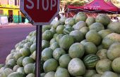 La pastèque est un fruit très consommé et très cultivé au Maroc et dans tout le Maghreb. Photo : DR