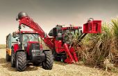 La récolteuse de cannes Austoft au travail. Photo : case IH